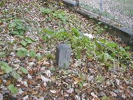 Kilometrovn�k na zru�enej vle�ke (107 kB)